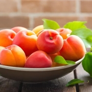 Оптовая продажа абрикосов из Ирана | Покупка абрикосов оптом + цена