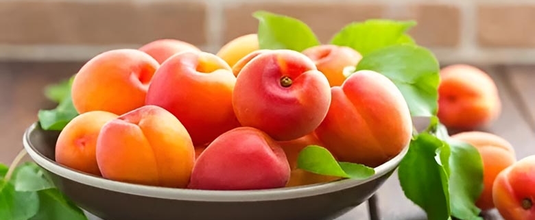 Оптовая продажа абрикосов из Ирана | Покупка абрикосов оптом + цена