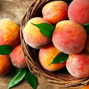 Оптовая продажа персиков из Ирана | Купить персики оптом + цена