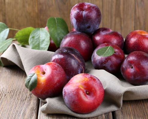 Оптовая слива из Ирана | Купить сливу оптом + цена